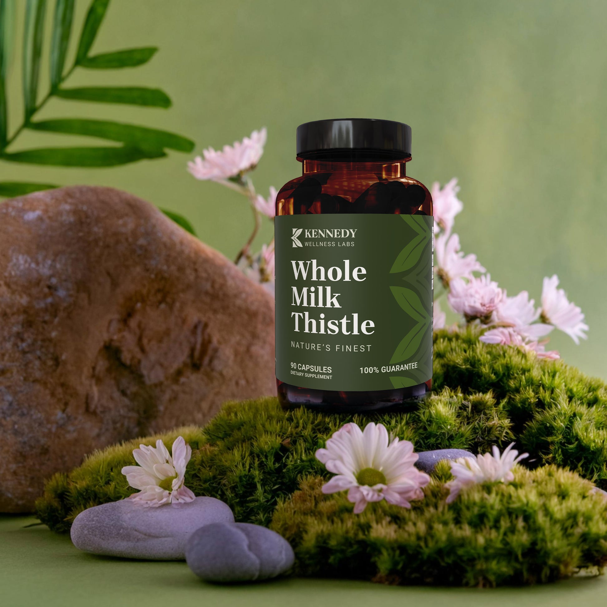 Whole Milk Thistle 2