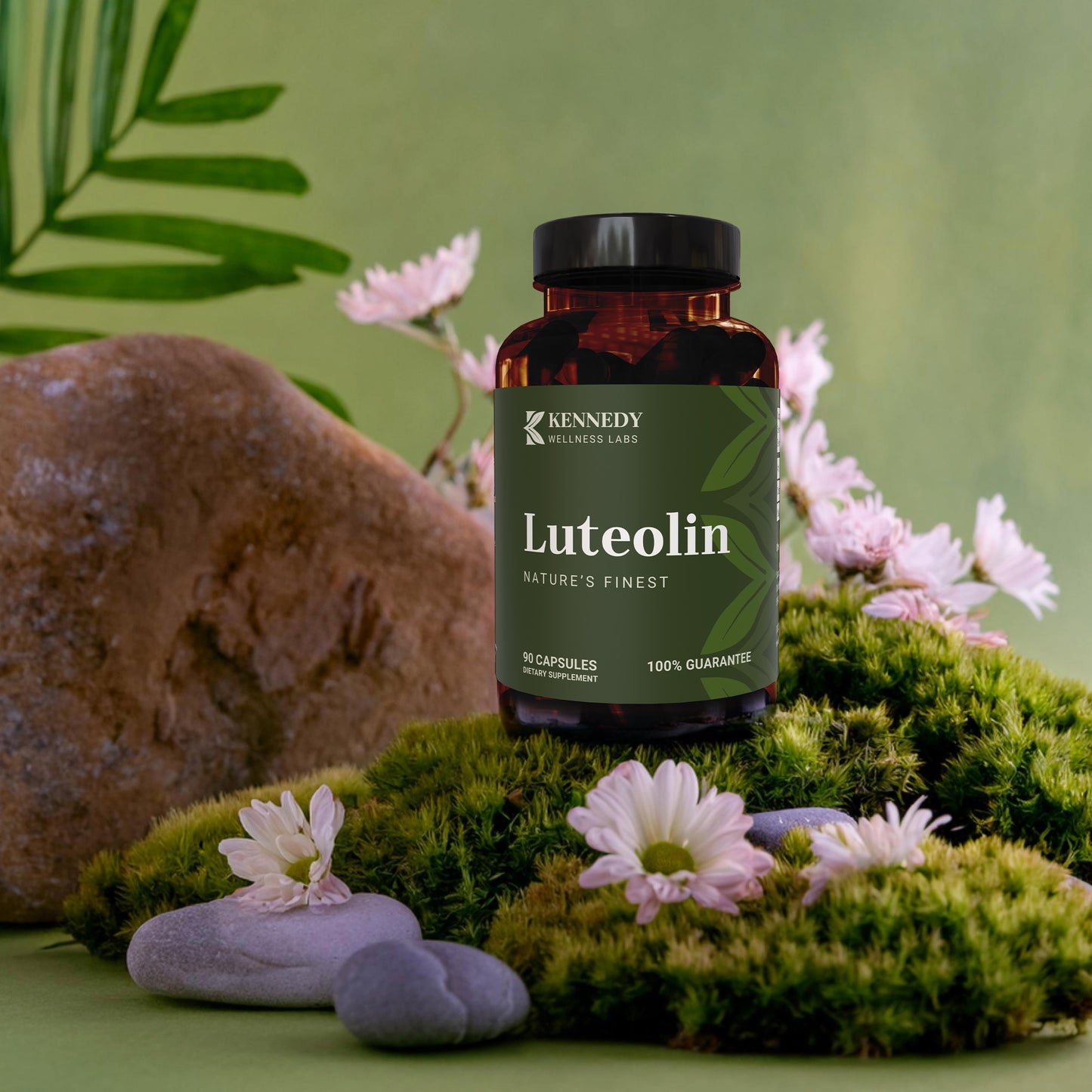 Luteolin 2