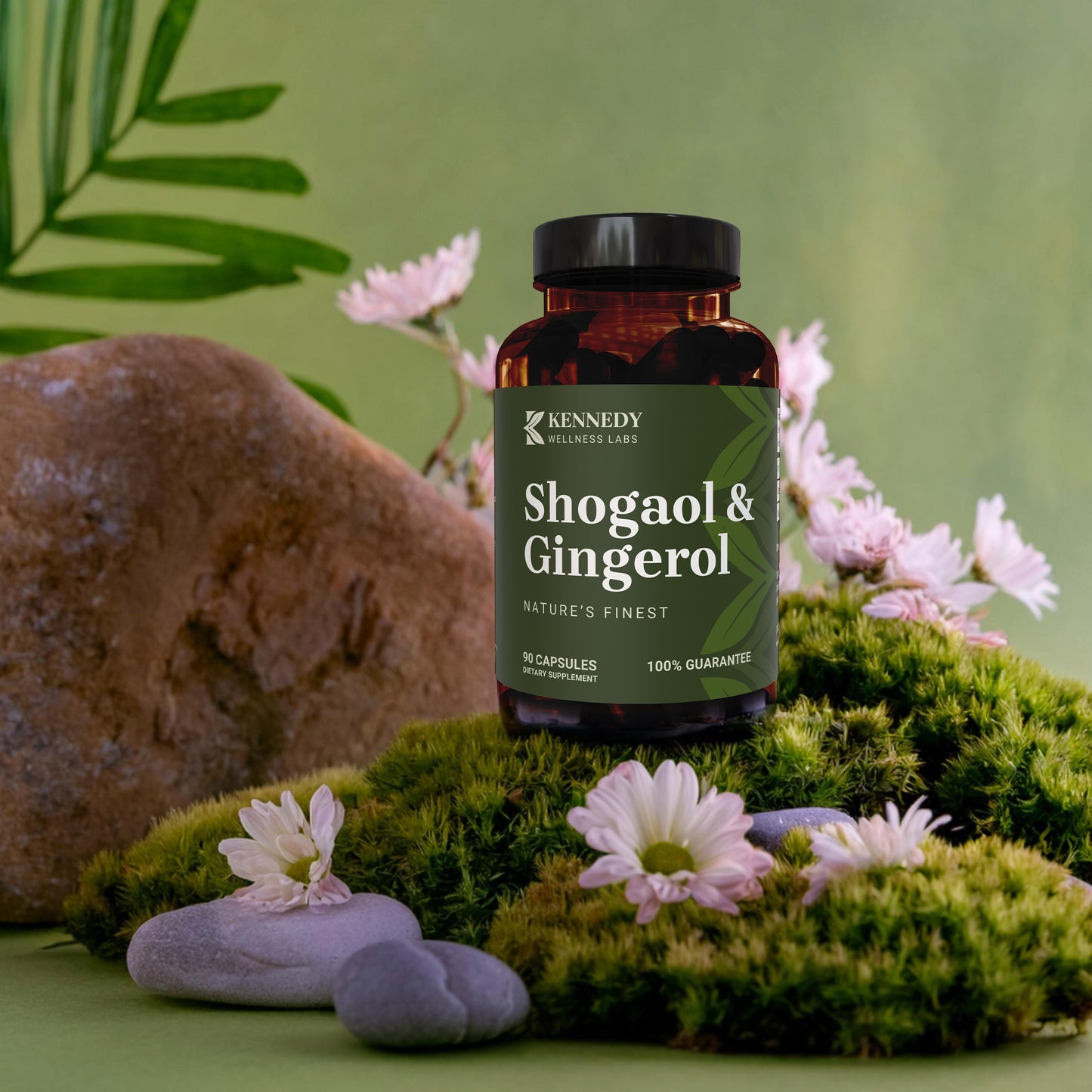 Shogaol & Gingerol 2