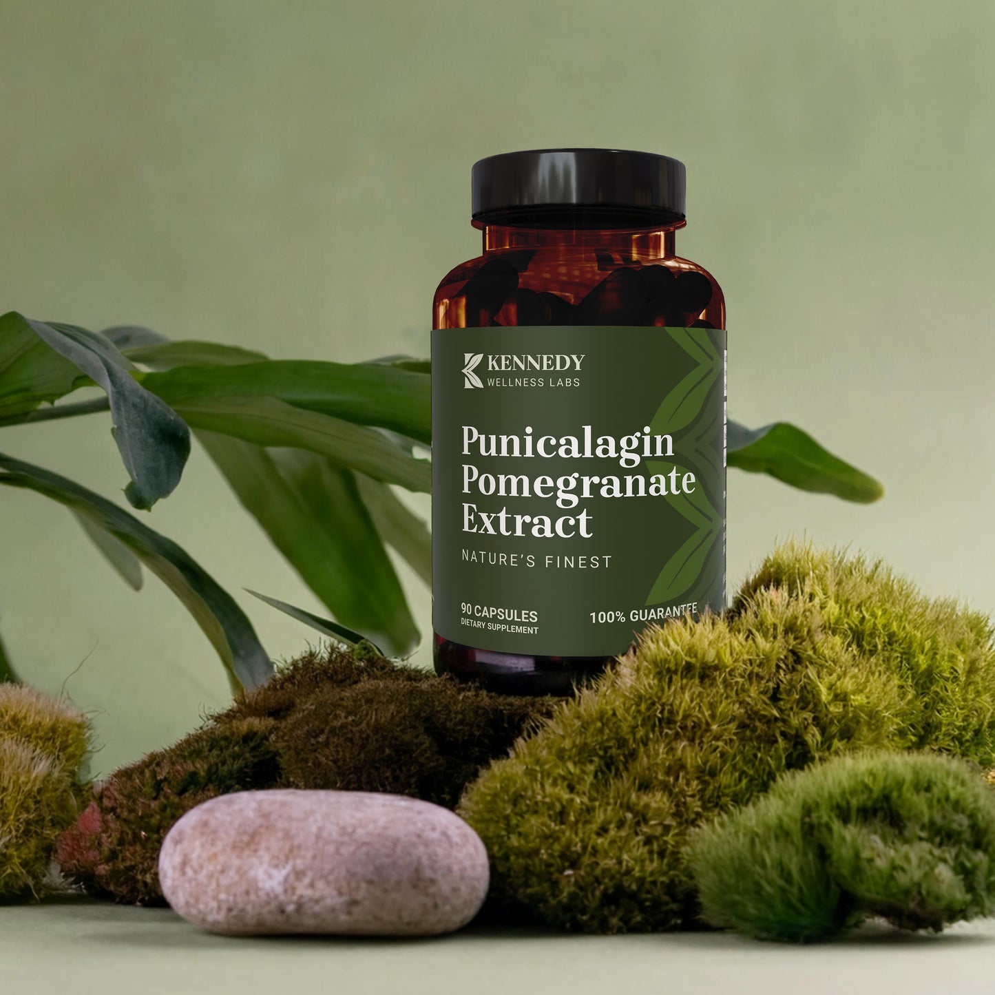 Punicalagin Pomegranate Extract 2
