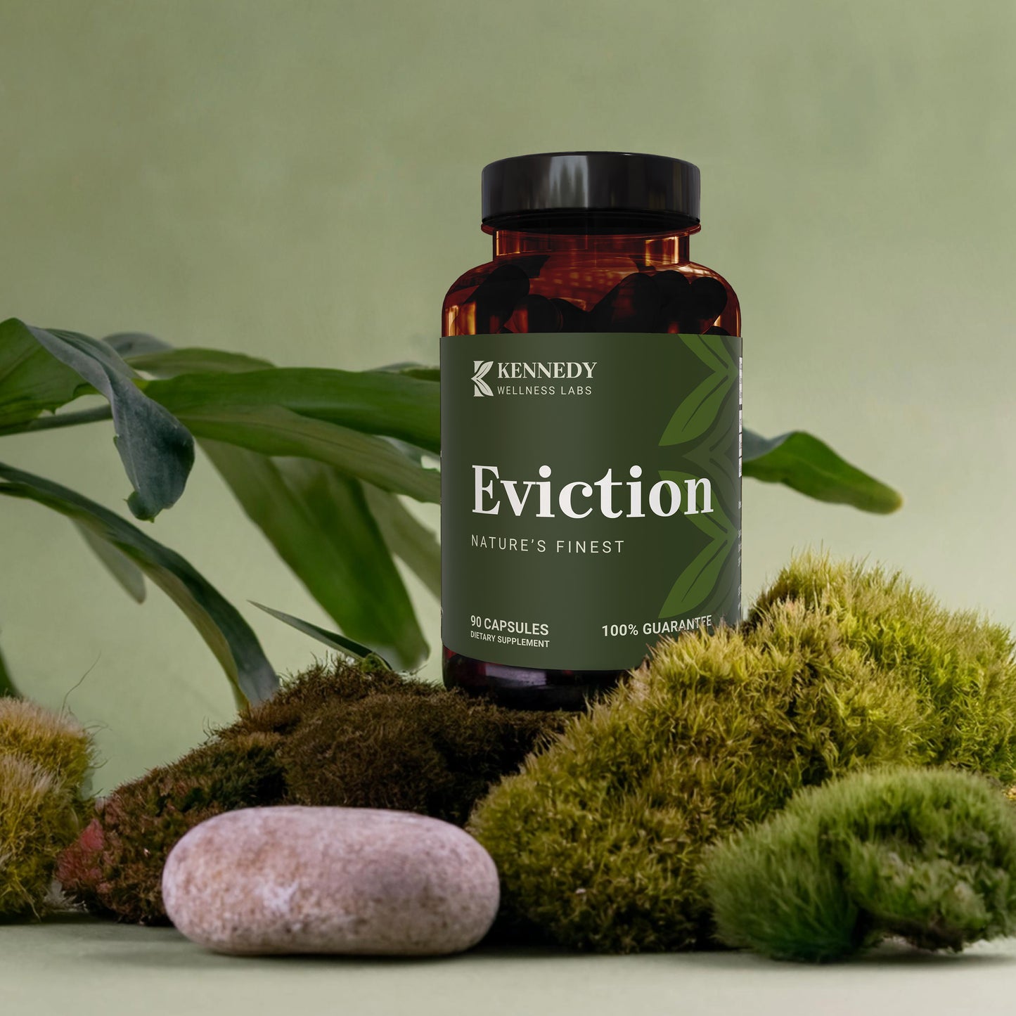 Eviction 2