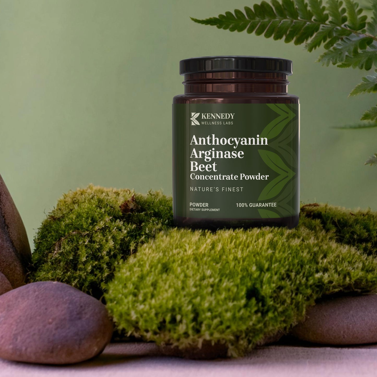 Anthocyanin Arginase
Beet Concentrate Powder 2