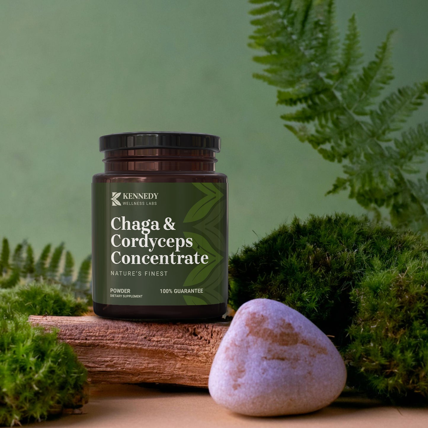 Chaga & Cordyceps Concentrate 2