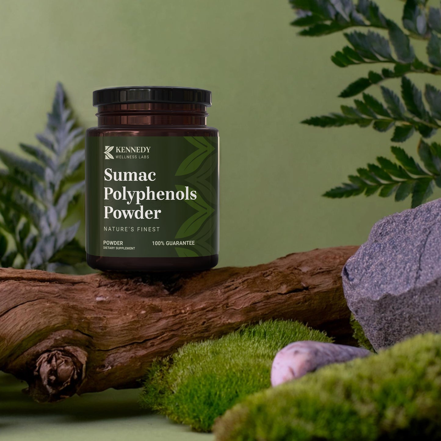 Sumac Polyphenols Powder 2
