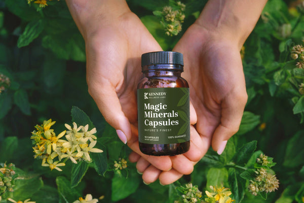 Personal Wellness Plan