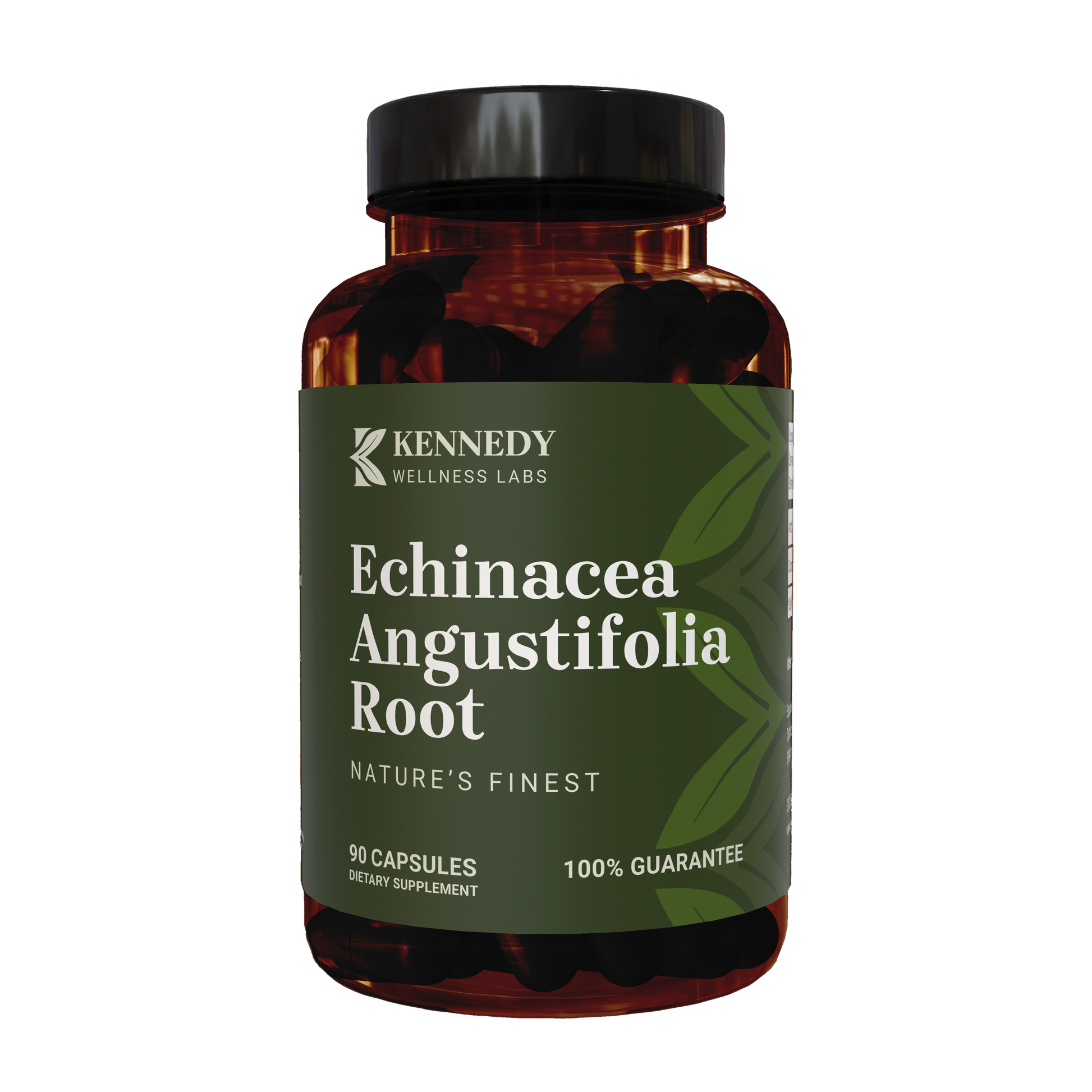 Echinacea Angustifolia Root 1