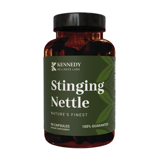 Stinging Nettle 1
