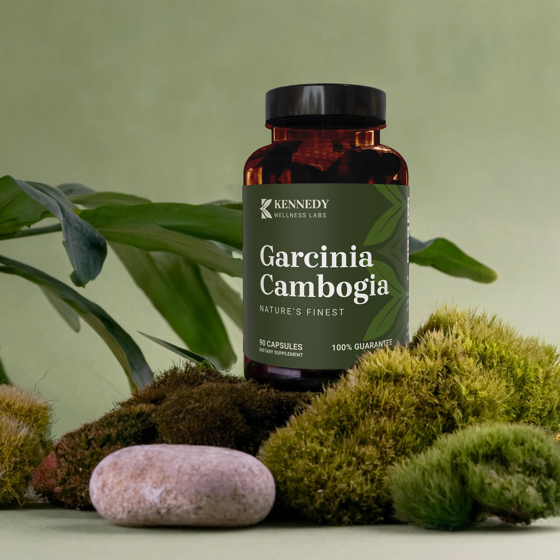 Garcinia Cambogia 2