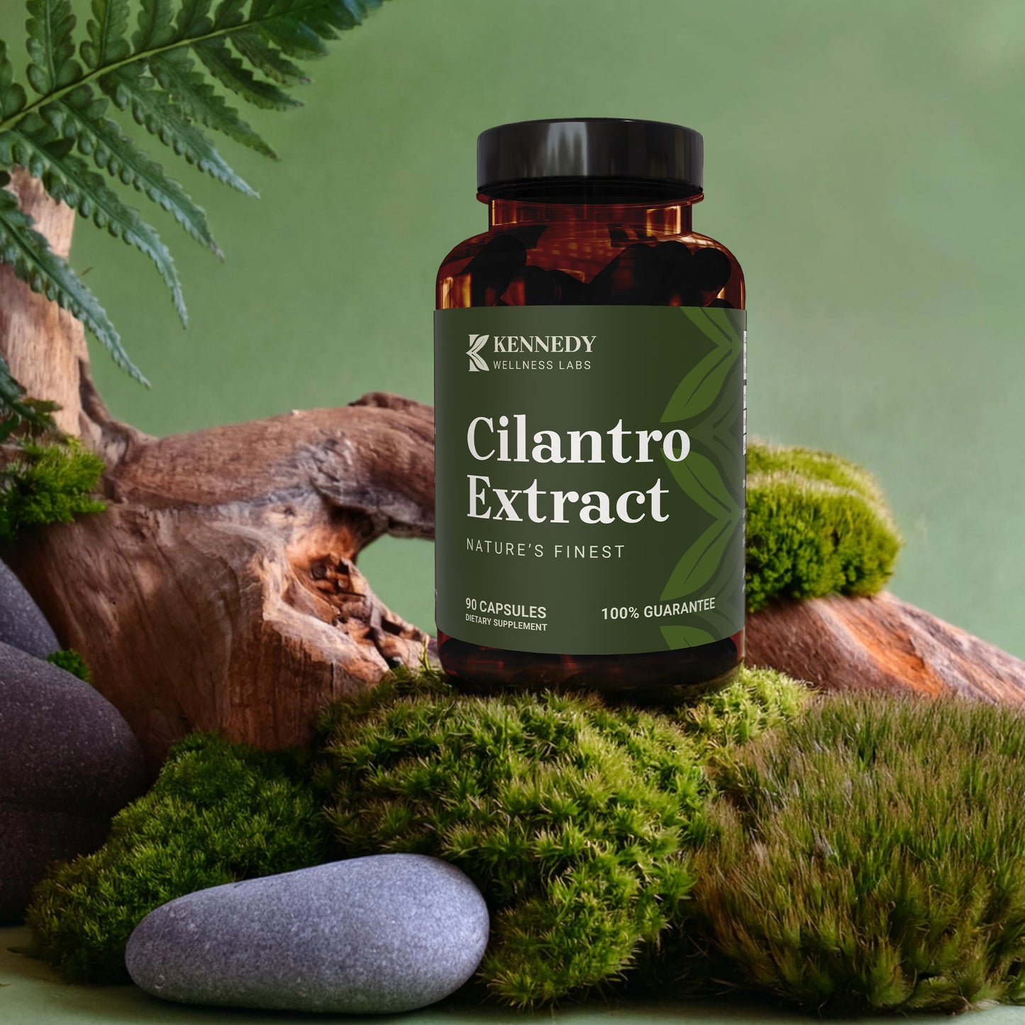 Cilantro Extract 2